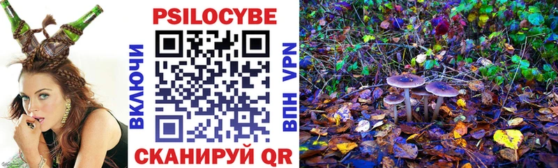 Купить где  Калтан  Галлюциногенные грибы Magic Shrooms 